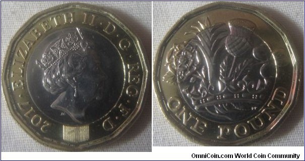 2017 £1 coin, flat area underneath the watermark