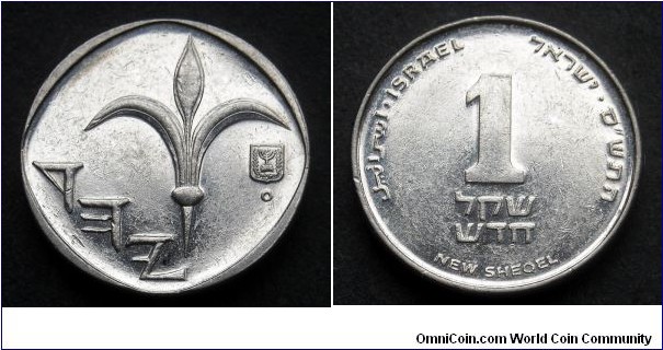 Israel 1 sheqel.
2000 (5760) Winnipeg mint.