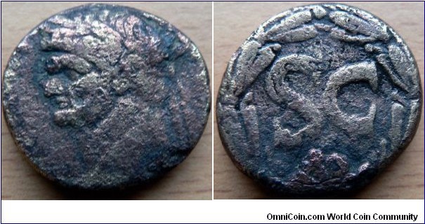 51–81Ad As Caeser, 81-96Ad Emperor Domitian AE25 of Antioch, Syria. DOMITIANVS CAESAR, laureate head left, Large SC within laurel-wreath. 
