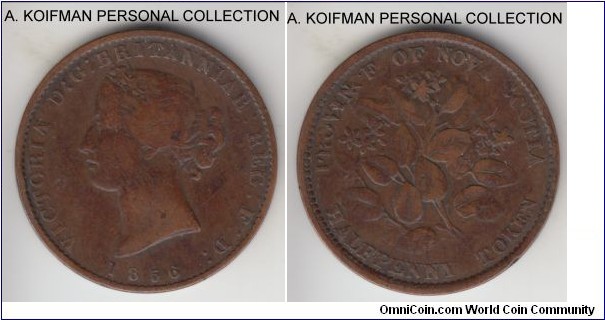 KM-5, Charlton# NS5A1, Breton 876, 1856 Nova Scotia Maritime province half penny token; bronze, plain edge, medal rotation; Heaton mint, very good to fine.