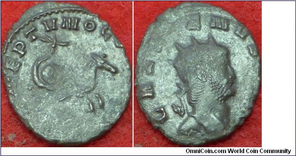 Circa 260Ad Gallienus Sole reign. Billon antoninianus. NEPTVNO CONS AVG, hippocamp springing right. GALLIENVS AVG, radiate, cuirassed bust.