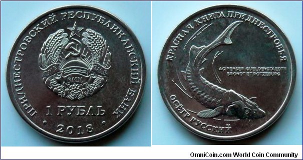 Transdniestria 1 ruble.
2018, Red Book of Transdniestria - Russian sturgeon.