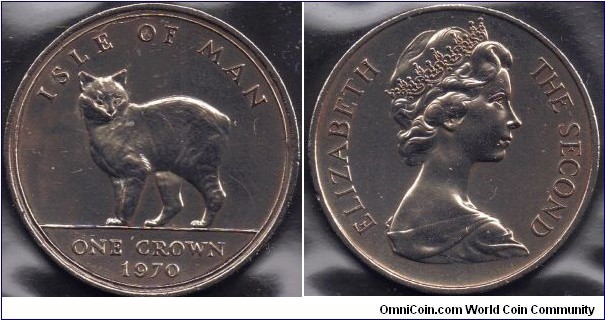 1 Crown Manx Cat
