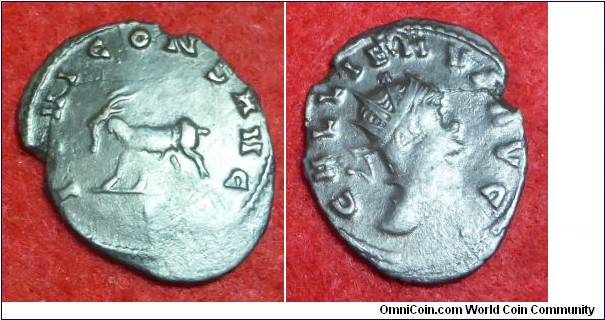 Antoninianus of Gallienus. Bearded goat standing or walking left IOVI CONS AVG. Head of Gallienus, radiate, right GALLIENVS AVG 