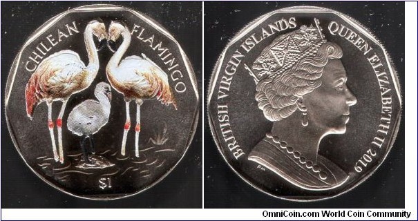 $1 Chilean Flamingo