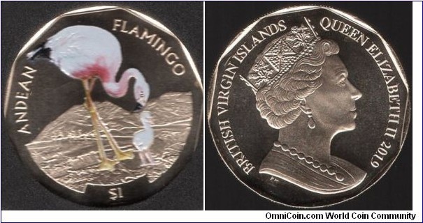 50p Andean Flamingo
