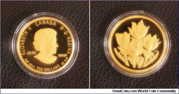PRAIRIE CROCUS PURE GOLD COIN Only 1,400 minted - Extremely low mintage
Weight (g): 35
Crafted in 99.999% pure gold