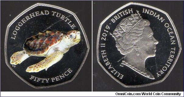 50p British Indian Ocean Territory. Loggerhead Turtle