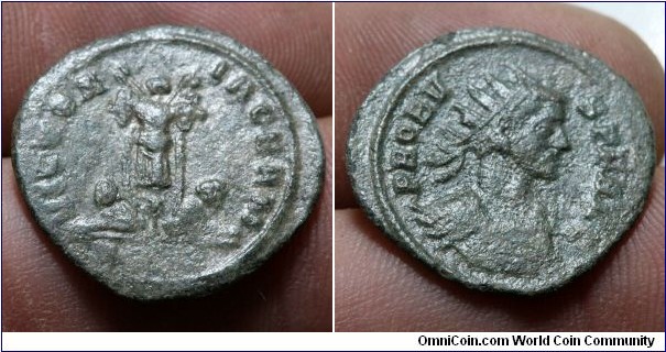 281-282 AD Probus, AE quinarius. VICTORIA GERM, two captives seated at the base of a trophy of arms. IMP PROBVS P F AVG, laureate, cuirassed bust right with aegis.