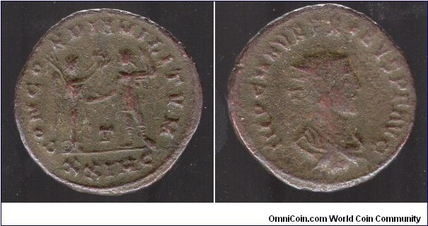 Probus, Antoninianus, CONCORDIA MILITVM, Victory standing right, holding palm, presenting wreath to Emperor, standing left, holding spear: below, T; in exergue, XXIMC. IMP C M AVR PROBVS AVG, Radiate, draped and cuirassed bust of Probus Cyzicus mint, 3rd officina