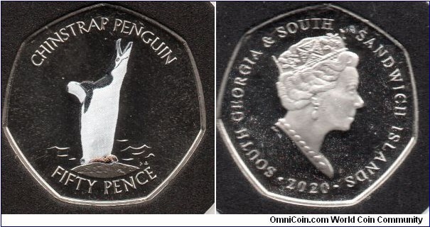 50p Chinstrap Penguin