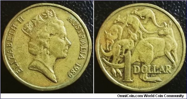 Australia 1989 1 dollar. NCLT - broken up from mint set. Well circulated. 