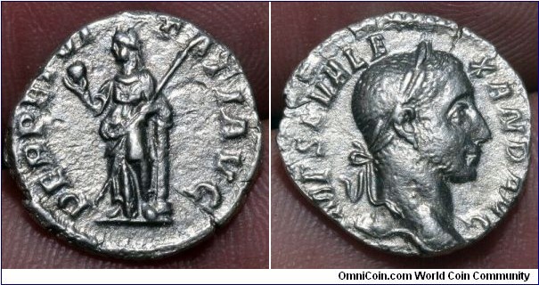 221-235 Denarius Severus Alexander. PERPETVITATI AVG, Perpetuitas (or Securitas) standing left with globe and sceptre, leaning on column. IMP SEV ALEXAND AVG, laureate, draped bust right. 