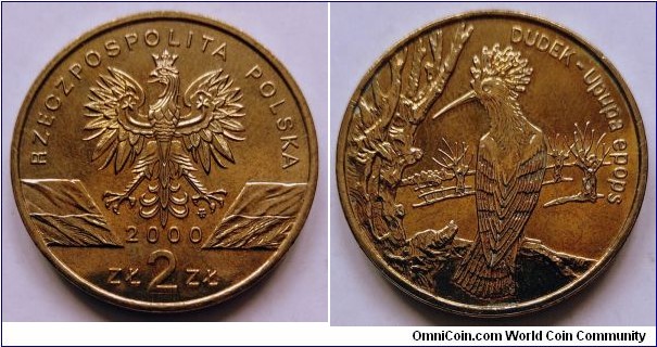 Poland 2 złote.
2000, Dudek - Hoopoe (Upupa epops) Nordic gold.
Weight; 8,15g. Diameter; 27mm. Mintage: 500.000 pcs.