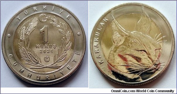 Turkey 1 kurus.
2021, Caracal.