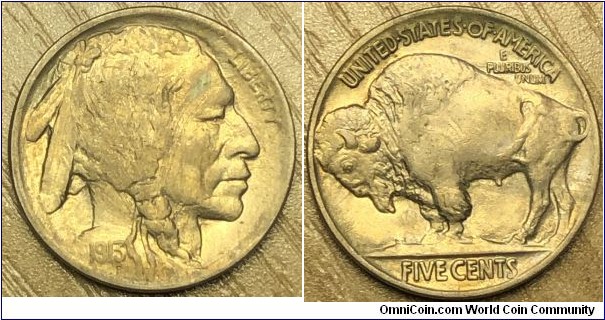 1913 type 2 
Buffalo nickel.