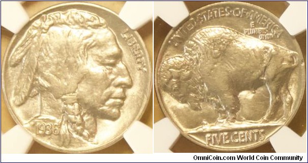 NGC AU58
1936
Buffalo nickel