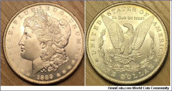 1889 Morgan silver dollar