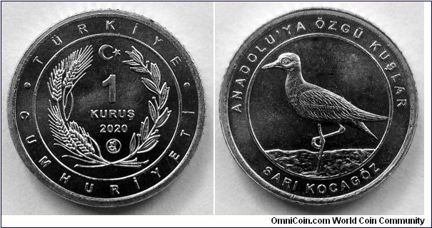 Turkey 1 kurus.
2020, Birds o Anatolia - Stone-Curlew