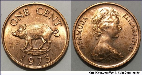 1 Cent (British Overseas Territory / Queen Elizabeth II // Bronze 3.11g)