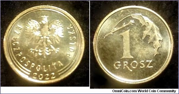 Poland 1 grosz. 2022