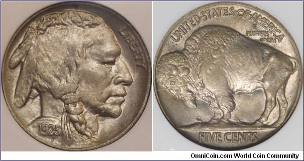 NGC MS63 1925 BUFFALO NICKEL