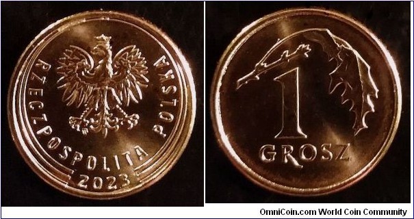 Poland 1 grosz.
2023