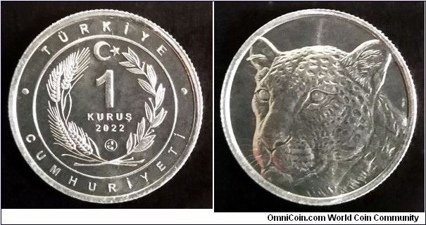 Turkey 1 kurus. 2022, Leopard