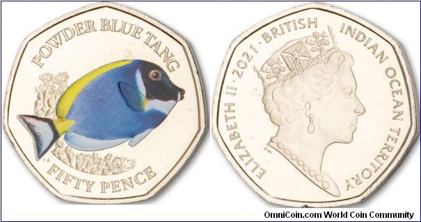 BIOT 50p Sea Creatures, Powder Blue Tang