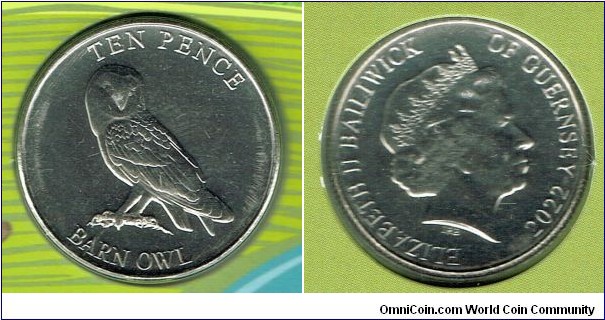 10 Pence 2022 - Barn Owl