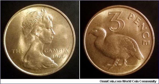 Gambia 3 pence. 1966