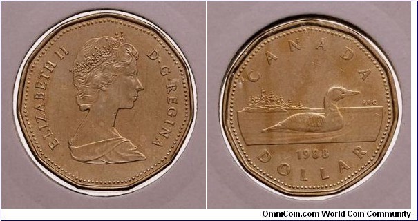 Loonie Dollar.
