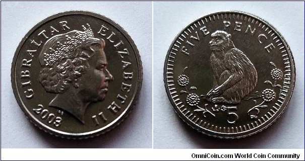 Gibraltar 5 pence. 2003 (AB)