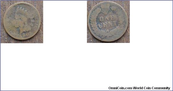 1901 indian Head Penny