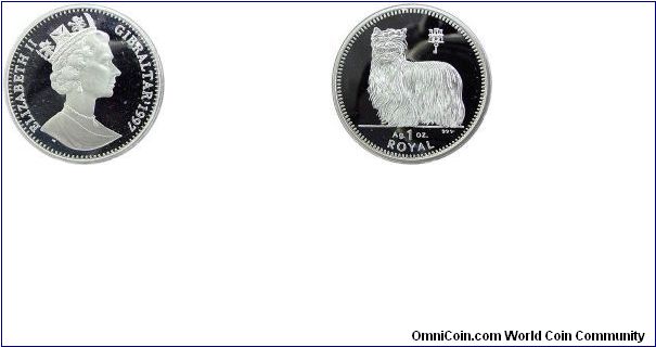 Dog Series: Shih-Tzu / Ag