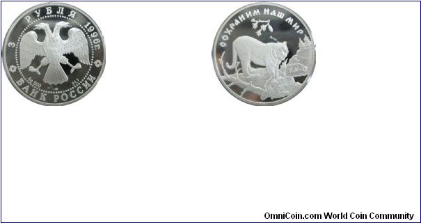 Russian Amur Tiger, proof version