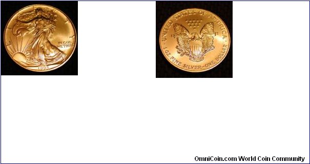 1993 Silver American Eagle