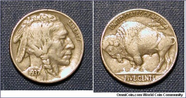 1937 Buffalo Nickel