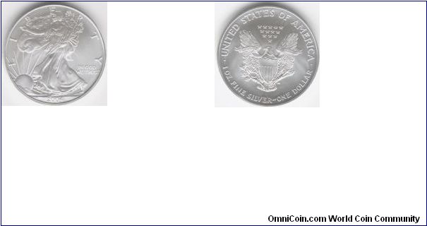 2004 USA American Eagal Silver Dollar (Silver)