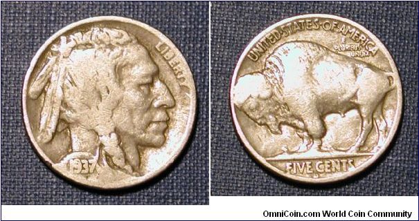 1937-D Buffalo Nickel