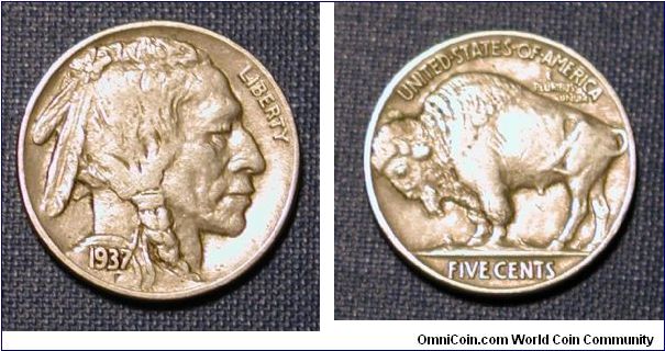 1937 Buffalo Nickel