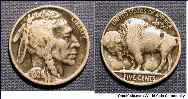 1929 Buffalo Nickel