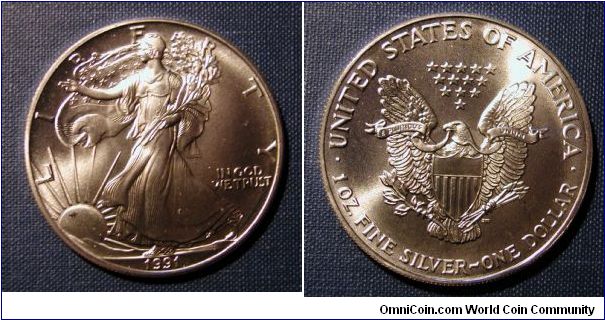 1991 Silver American Eagle