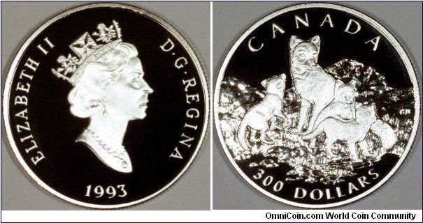 The arctic fox, from the Canadian Wildlife series of platinum proof coins issued by the Royal Canadian Mint starting in 1990.
This is the one ounce coin.