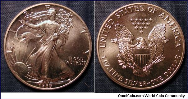 1989 Silver American Eagle