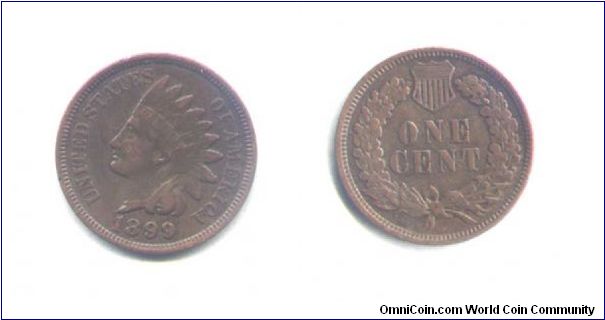 1899 Indian Head cent in Fine grade.