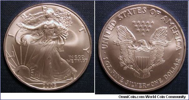 2005 Silver American Eagle