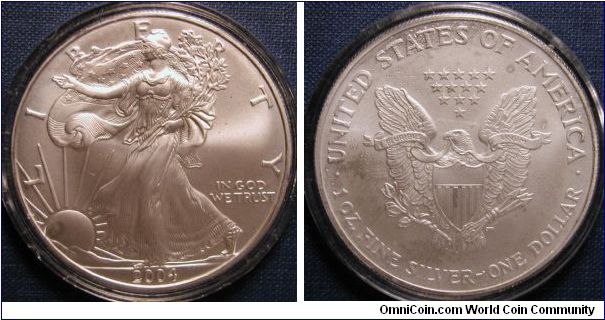 2004 Silver American Eagle