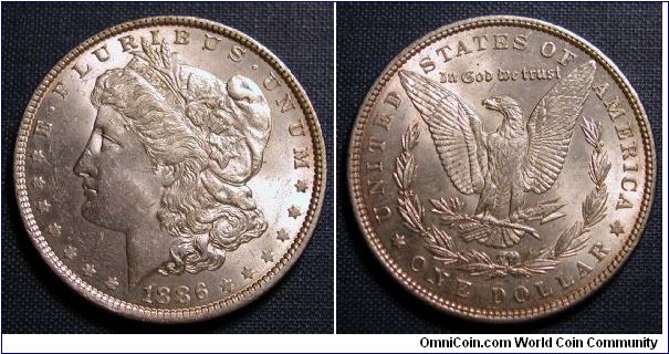 1886 Morgan Dollar