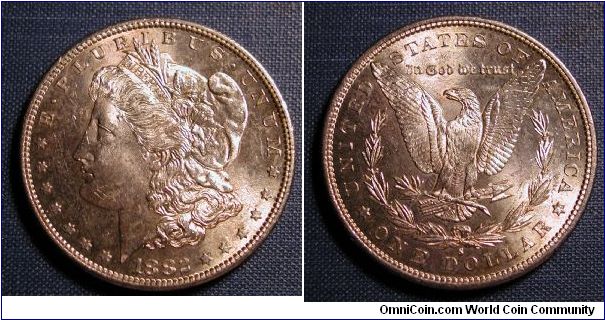 1882-S Morgan Dollar